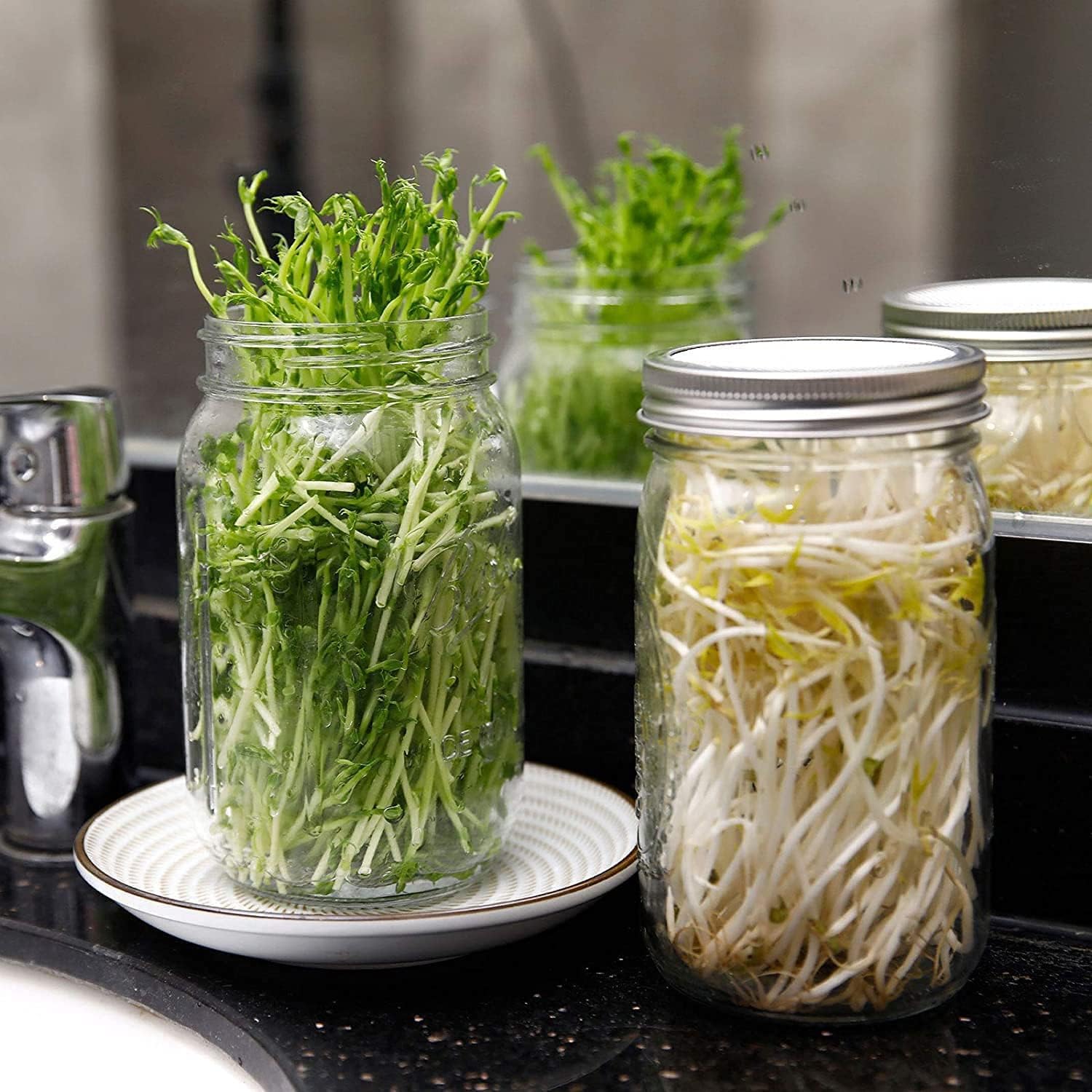 Retoteng Seed Sprouter Kit Sprouting Mason Jars with Stainless Steel Strainer Lids, Stands - Image 5