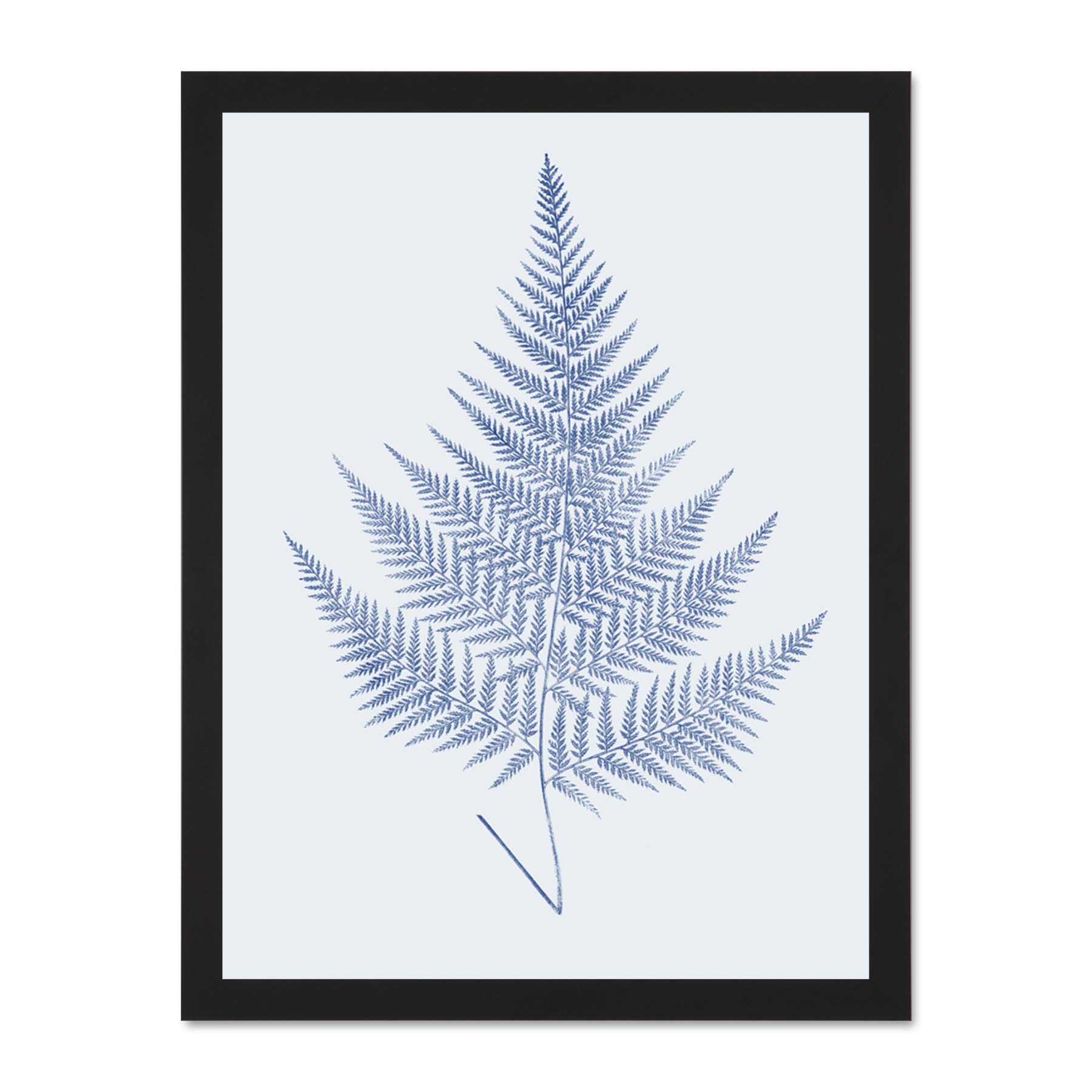Wee Blue Coo Botanics Cobalt Fern Eppusum Large Black Framed Art Print Wall Poster 18x24 inch