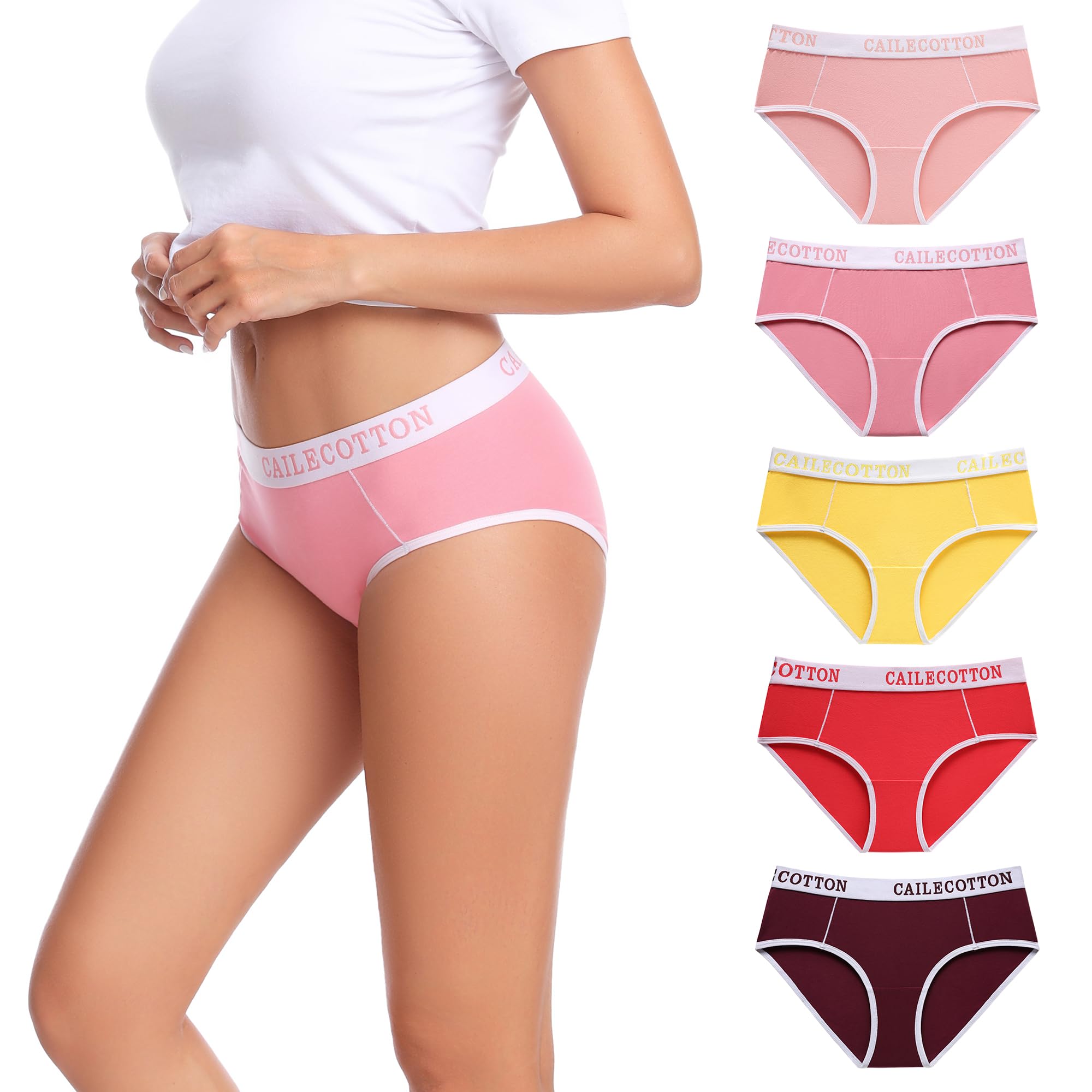 Womens Underwear Cotton Hipster Panties Regular Plus Size 5-Pack