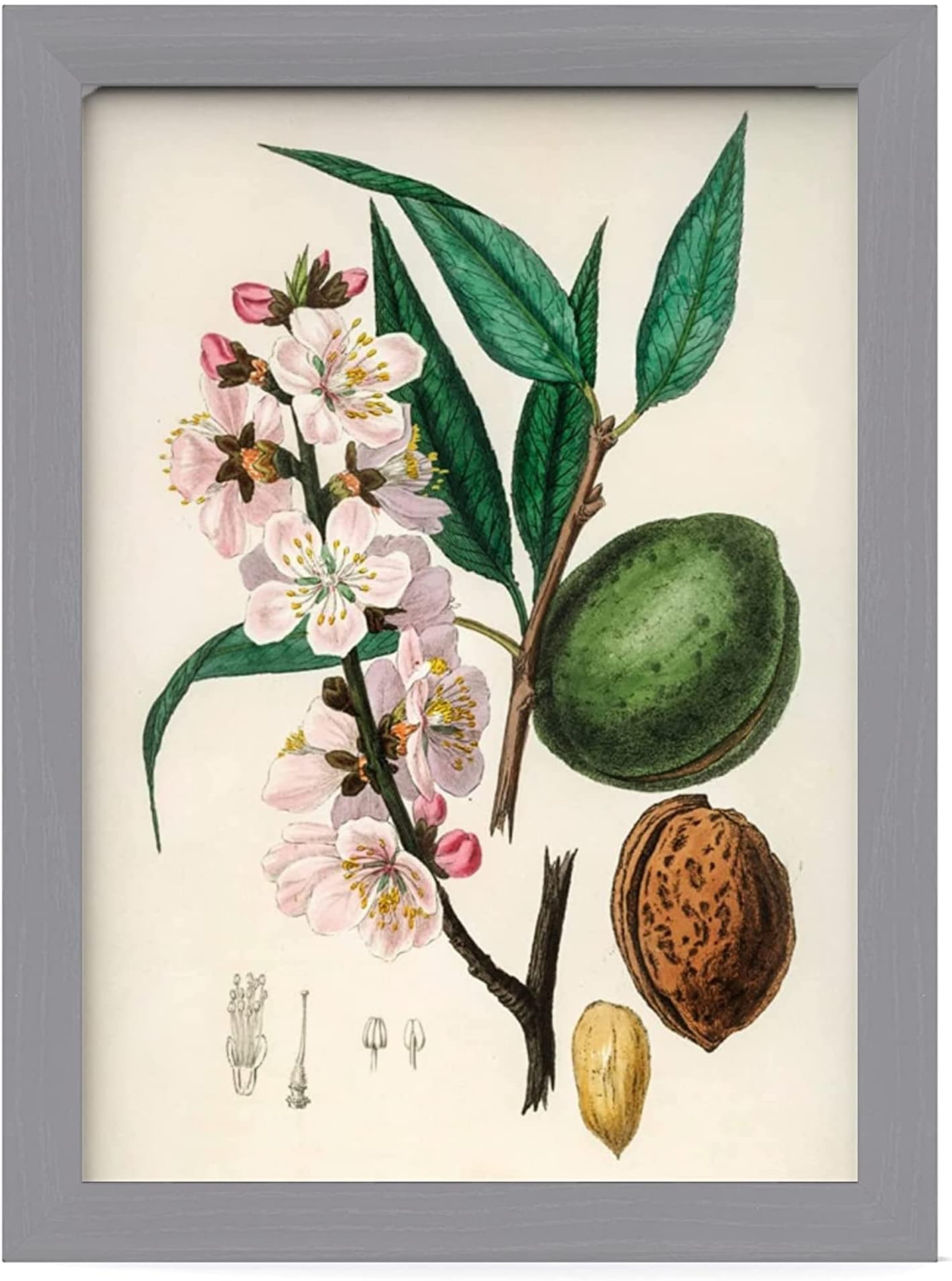 MH Traders Silver A4 Picture Frame - Freestanding and Wall Mounted Photo Frame for Pictures Posters & Certificates - 21 x 30 CM A4 Size Compact Picture Frames