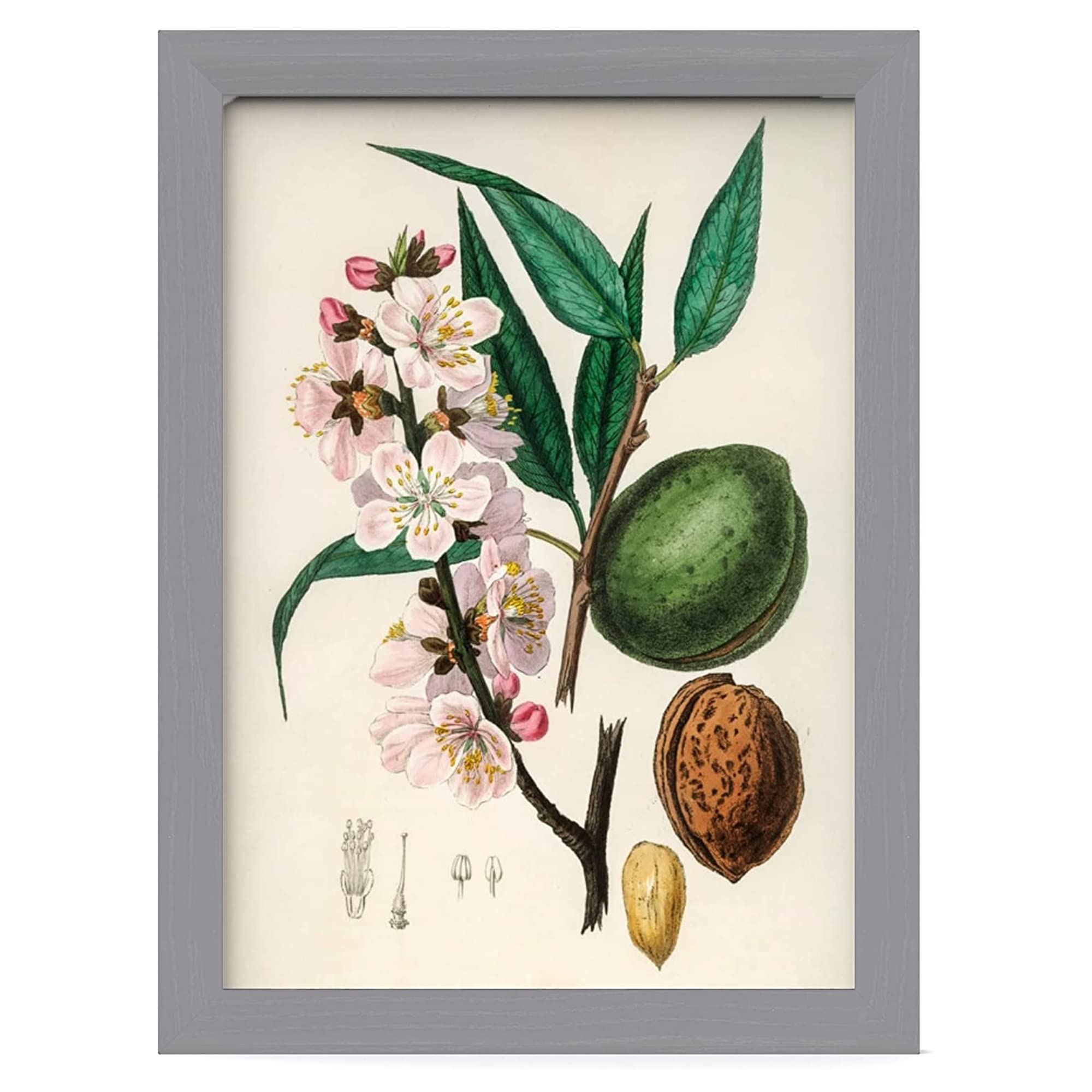 MH Traders Silver A4 Picture Frame - Freestanding and Wall Mounted Photo Frame for Pictures Posters & Certificates - 21 x 30 CM A4 Size Compact Picture Frames