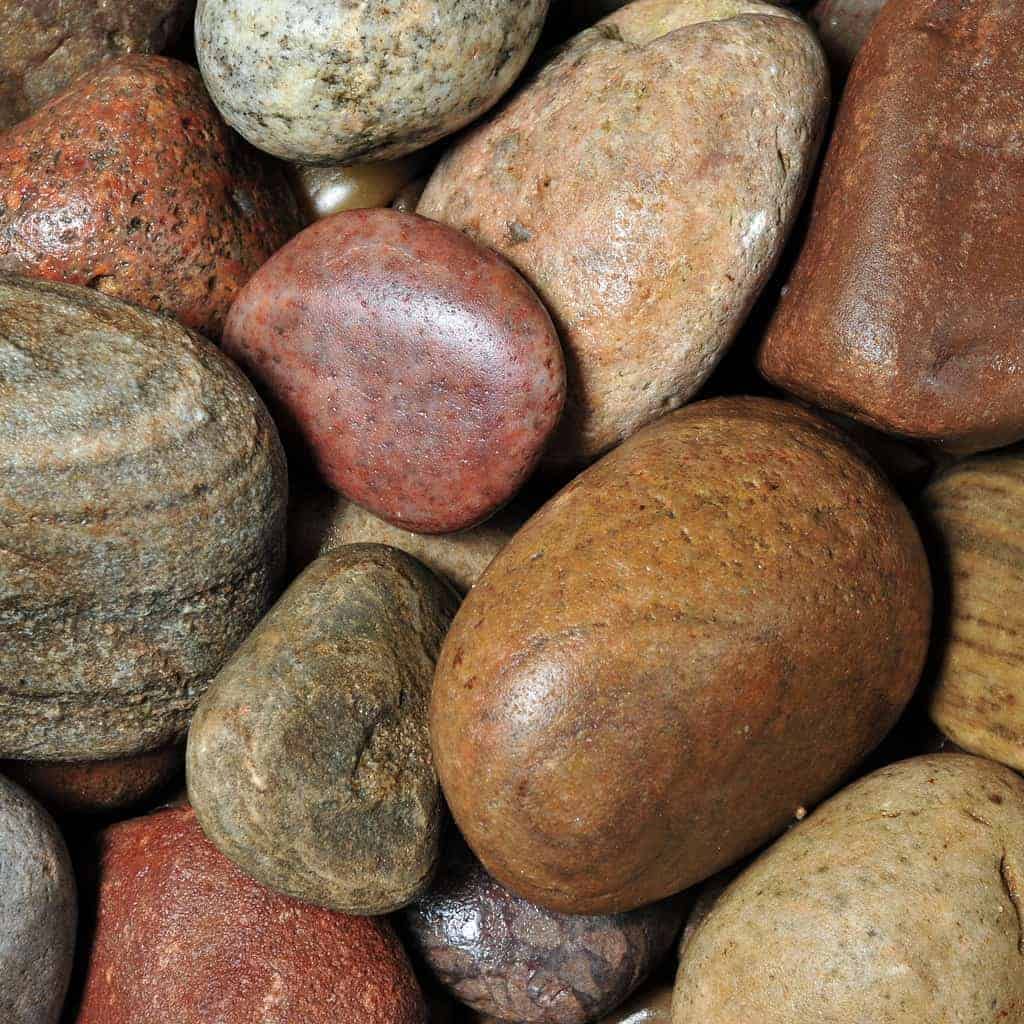 Elixir Gardens Decorative Coloured Scottish Stones Cobbles Pebbles Paddlestones Gravel Chippings Aggregate Various Sizes 1kg-1000kg | (20kg x 1, Scottish Cobbles 50-80mm)