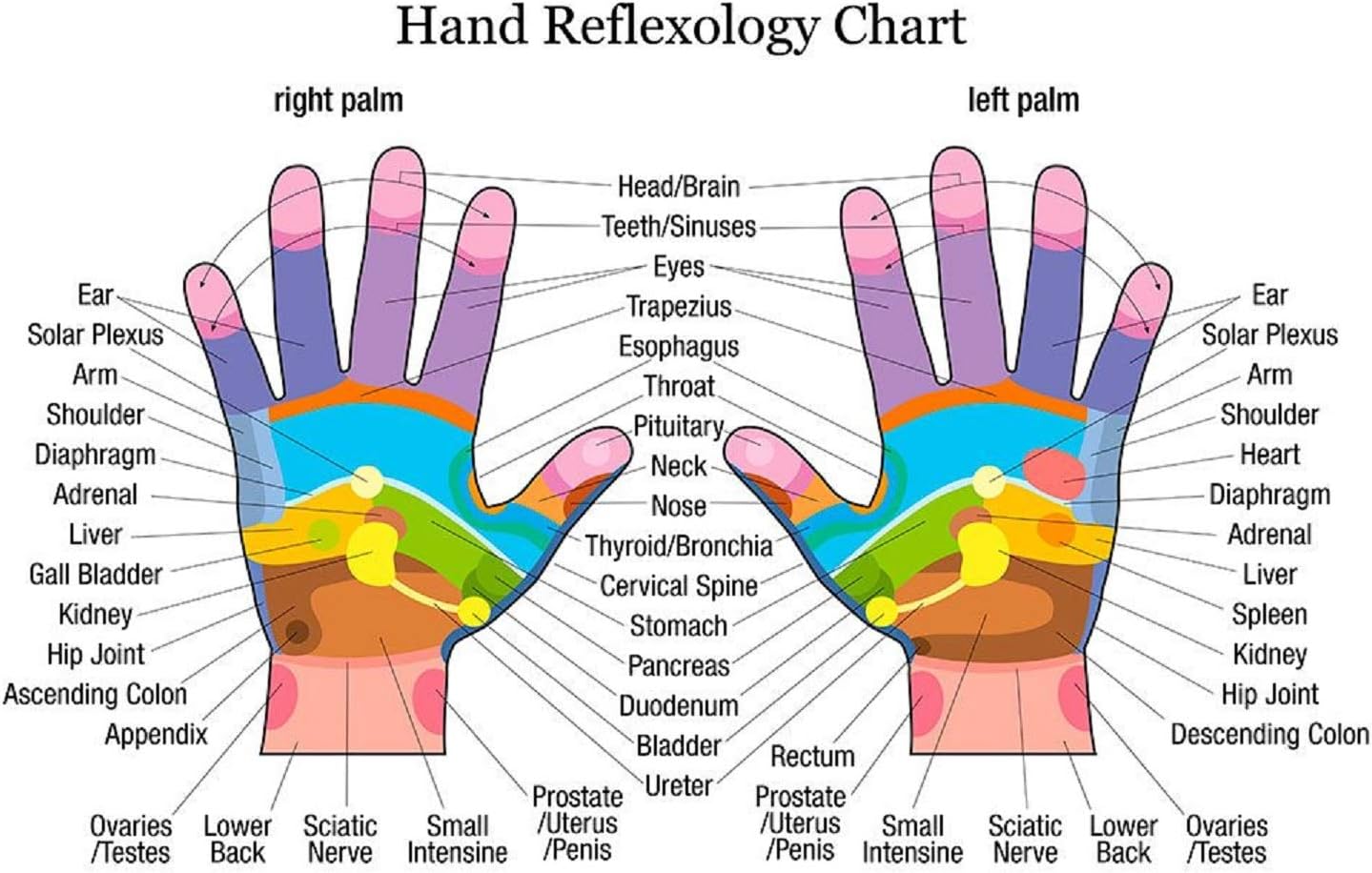 FARENZO 2pc Traditional Thai Massage Stick Wood Tools Reflexology Feet Spa Point Therapy Pressure Point Manual 6.5inch : Health & Household