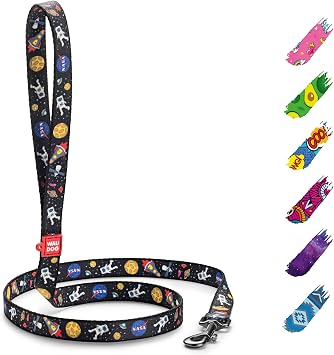 WAUDOG Nylon Dog Leash - 4 Ft - Strong & Heavy Duty for Large & Medium Dogs & Puppies