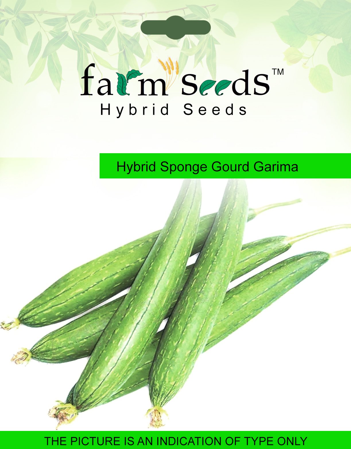 FARM SEEDS Hybrid Sponge Gourd Garima 1 Packet Seeds Seed (20 per packet)