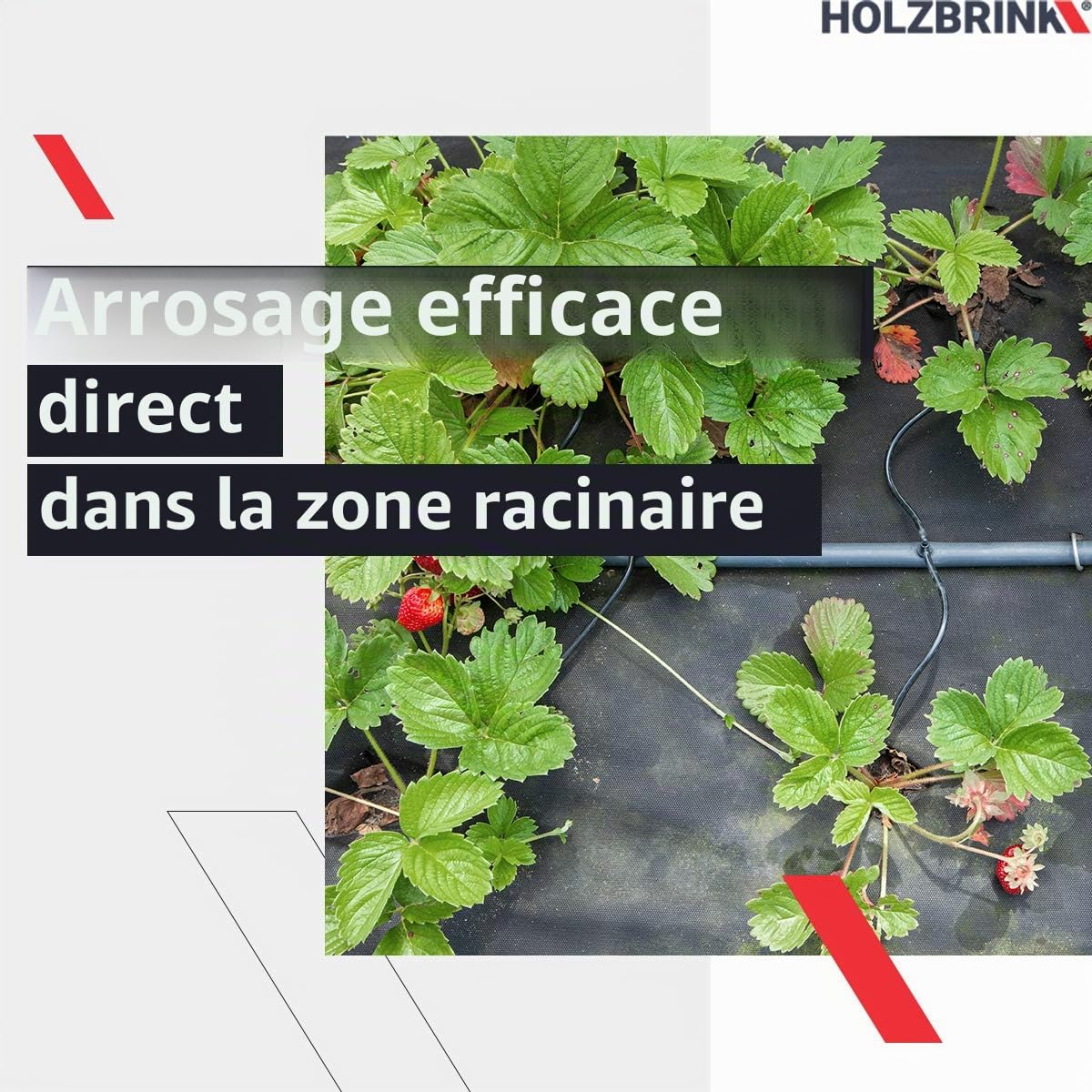 HOLZBRINK Kit de démarrage pour l’irrigation en serre, système d’arrosage goutte à goutte : 50 m Tuyau LDPE 16 mm, 6x Goutteur 8l/h, HTB-10-B-50