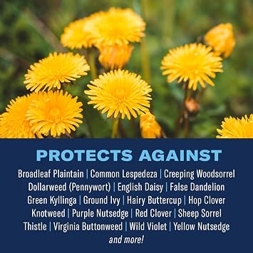 BioAdvanced 3-in-1 Weed and Feed Granules for Southern Lawns - 10 lb Bag