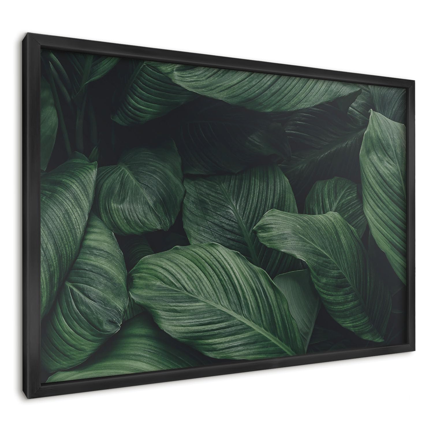 Panel Magnético 60x40 cm | con Marco Negro | El Verdor De La Naturaleza | Montaje Fácil | Pizarra de Pared | Para Restaurante y Bar | Expositor para Menú, Ofertas del Día