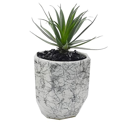 Miniatura 5 de Piedras naturales negras para uso en interiores y exteriores, pecera de acuario y decoración de jardín, rocas de paisajismo, bolsa de 2.5 libras con