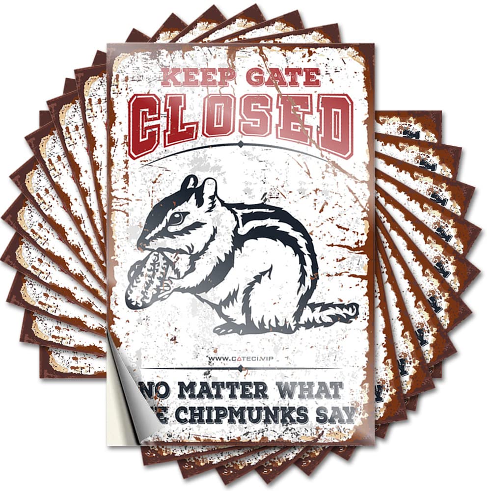 Decals Teens Durable Vinyl - Keep Gate Closed No Matter What The Chipmunks Say Hard for Military Use(12X18CM)