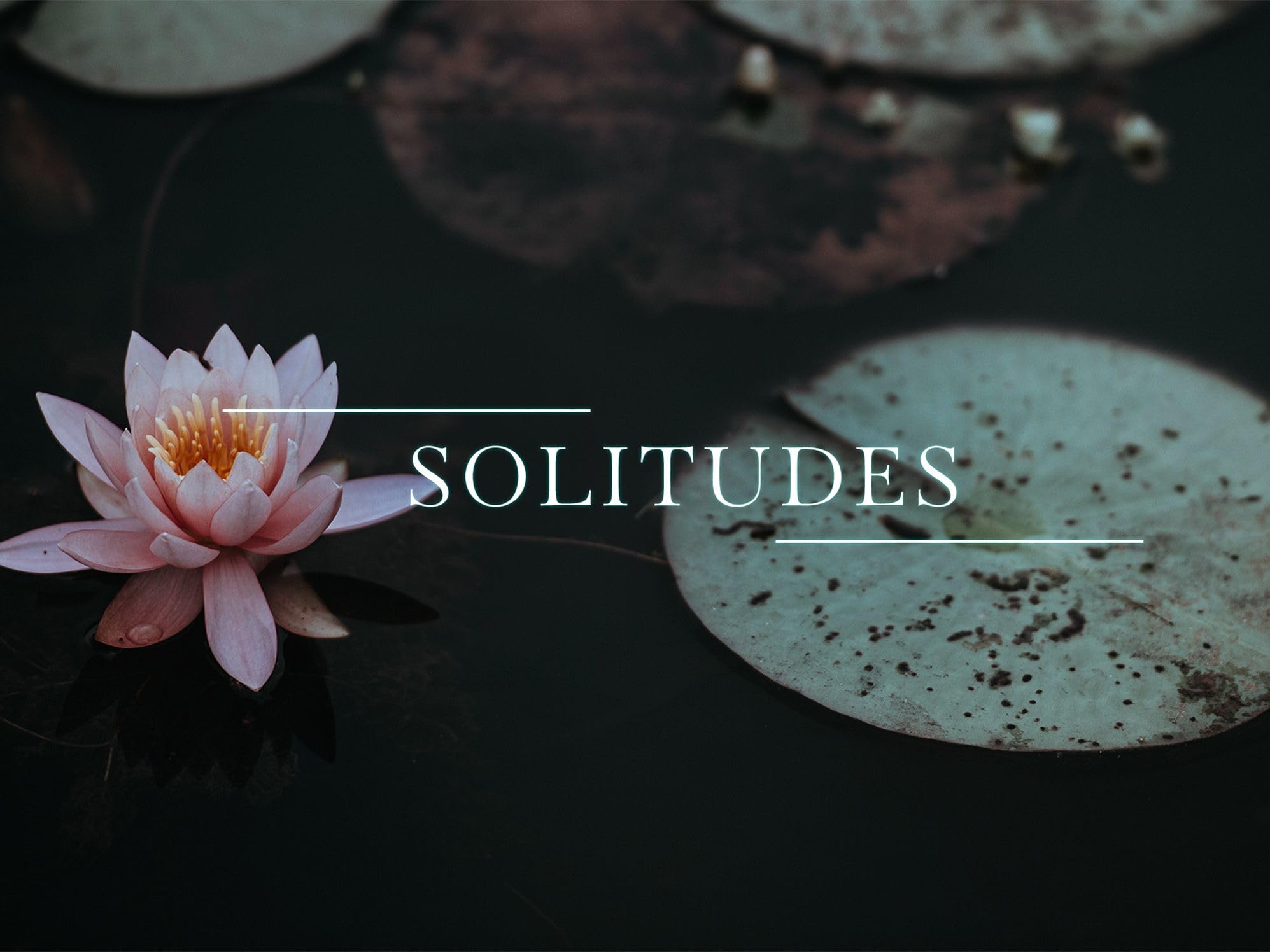 Dan Gibson's Solitudes