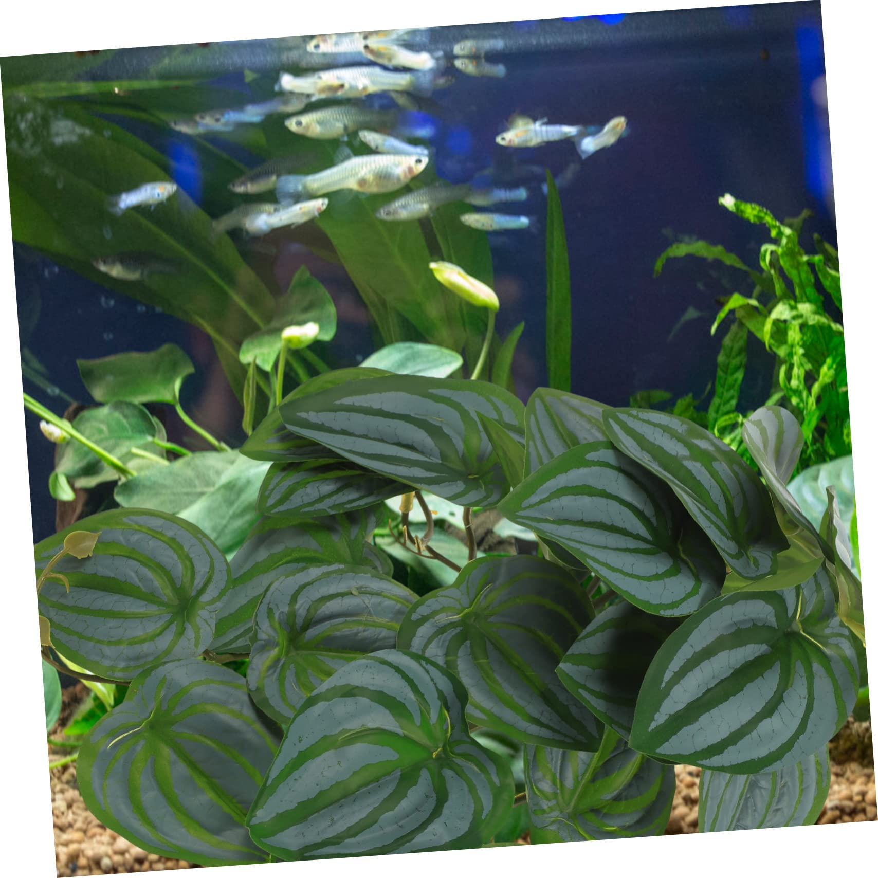 Toddmomy 5stücke Reptilien Terrarienpflanze Künstliche Pflanzen Für Aquarien Dekoration Lebensnahe Pflanzen Für Eidechsen Schlangen Und Bartagamen Rattan-Design Und Stabil