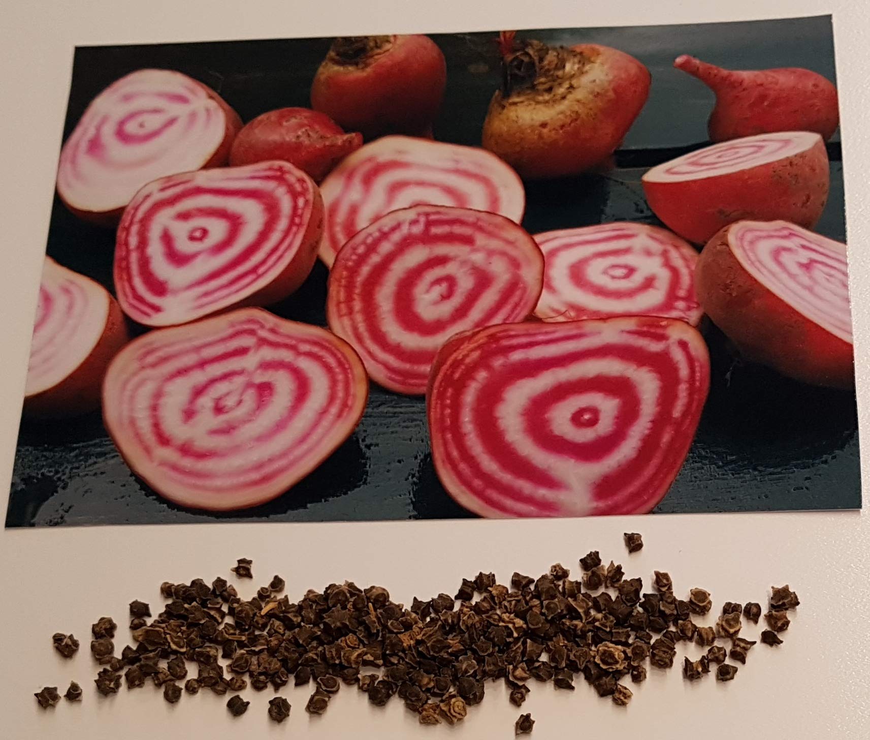 100 Samen Ringelbete, Tondo di Chioggia, rote Bete, Delikatesse, rot/weiss  geringelt : Amazon.de: Garten