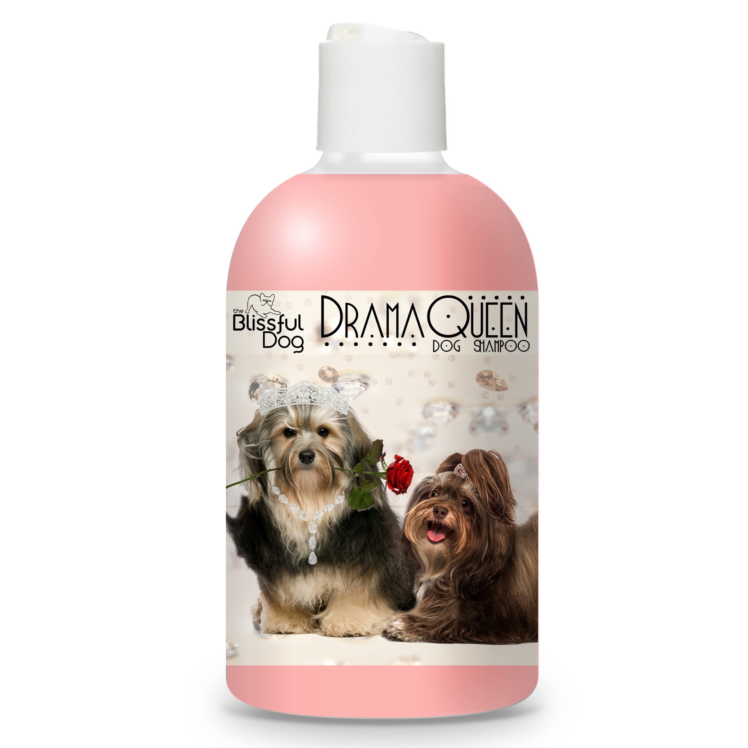 How Do I Clean My Havanese Eyes