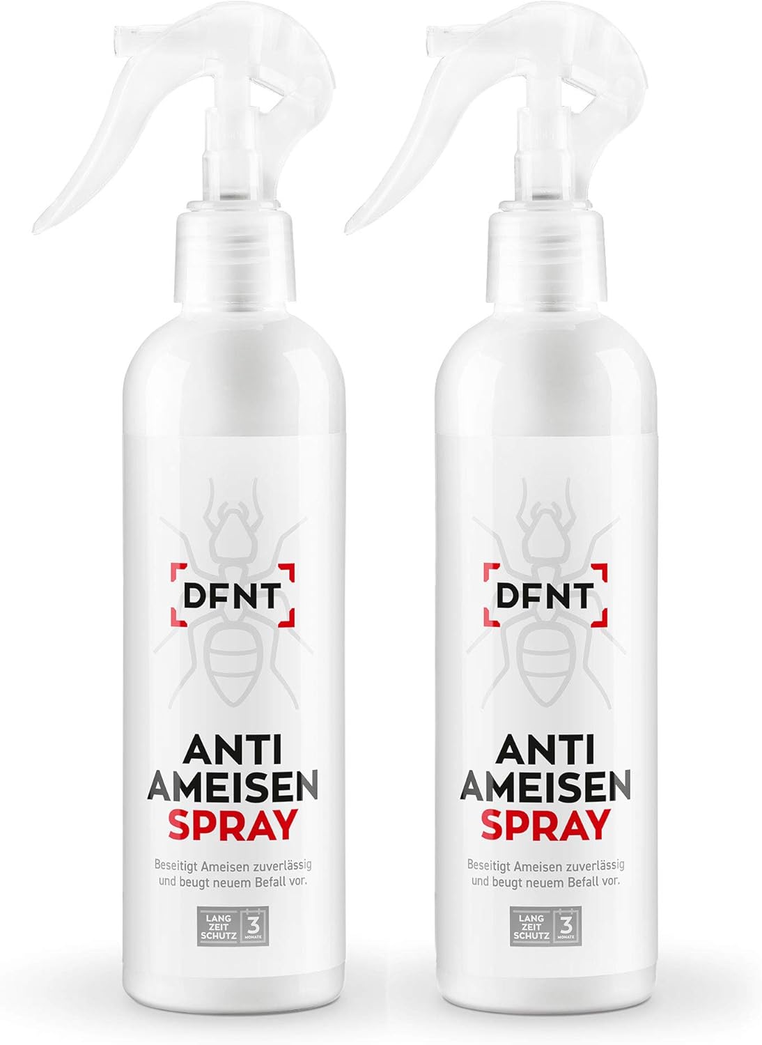 foto trappole per formiche