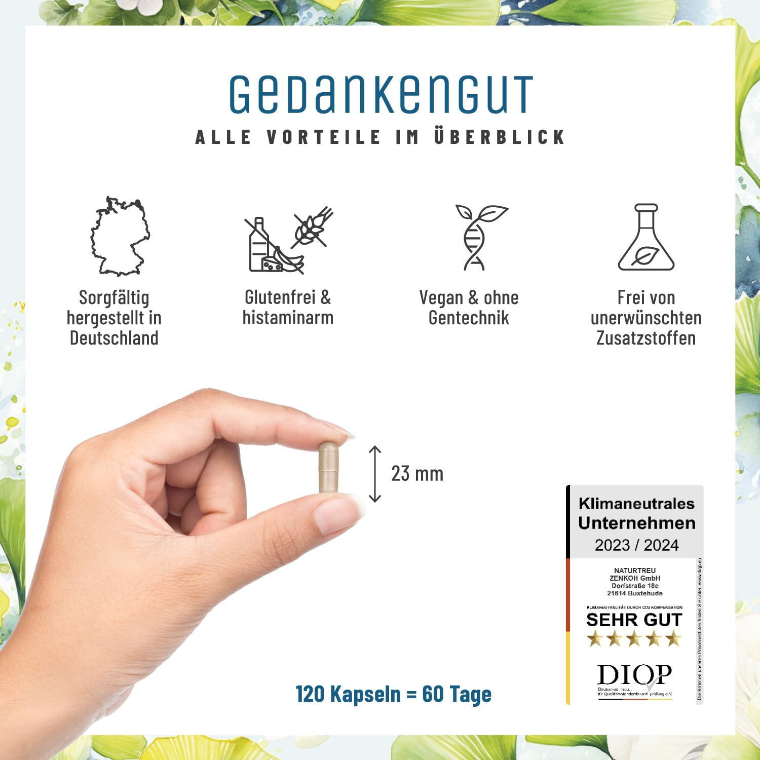 NATURTREU® Ginkgo-Biloba 50:1 & Löwenmähne Pilz Komplex - mit Brahmi-Extrakt Cholin & L-Cystein – 120 Kapseln vegan und hochdosiert mit 30% Polysaccharide und 5% Beta-Glucane