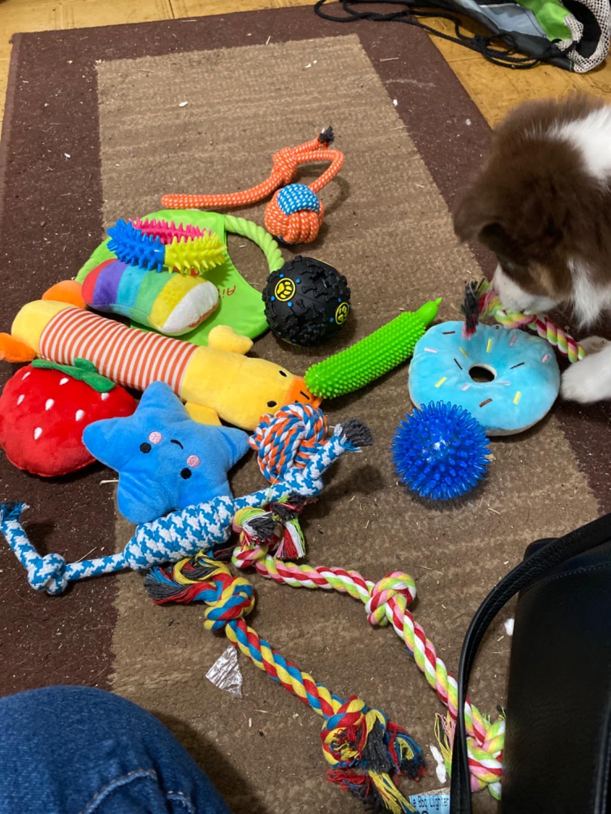 Dog Toys 25 Pack for Fun and Teeth Cleaning, Puppy Chew Toys Pack with Squeak Plush Toy,Squeaky Toy Balls,Tug of War and Rope Toys for Puppy to Small Dogs photo review