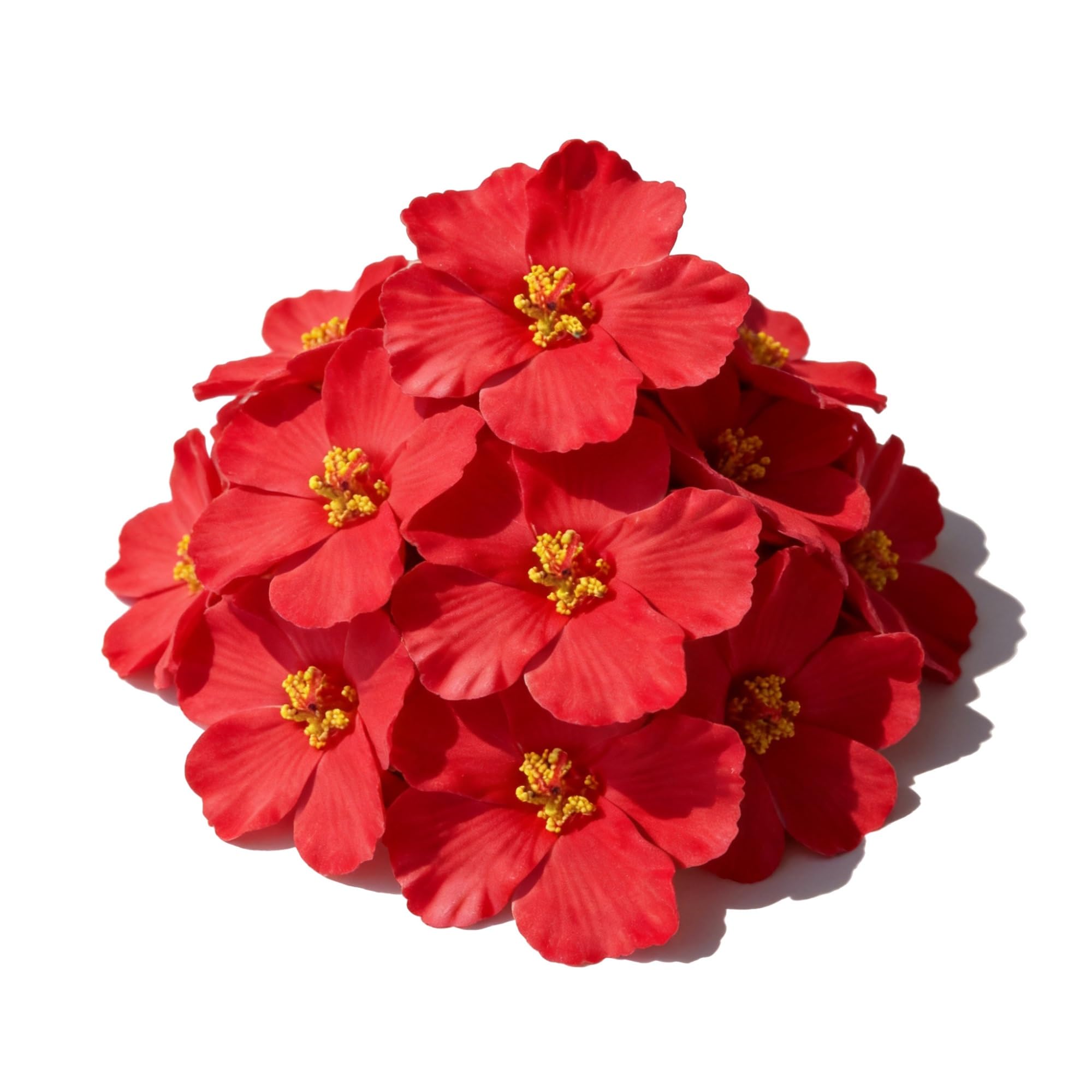 Fleurs d'hibiscus pour gâteaux à faire soi-même et décors de fête réutilisables