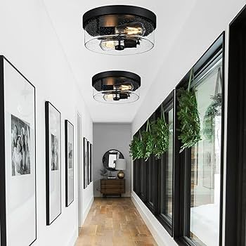 Black Flush Mount Ceiling Light Fixtures, 2-Light Ceiling