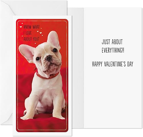 Vista 8 de Hallmark - Tarjetas para el Día de San Valentín para niños, unicornio y perezoso (6 tarjetas de San Valentín con sobres)