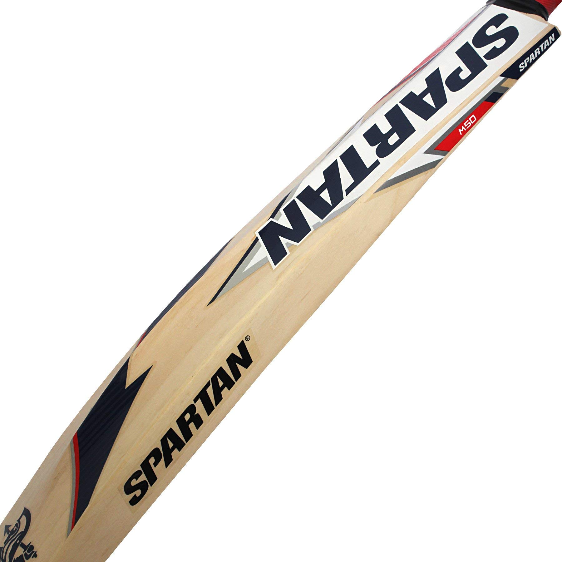 Spartan MSD Edition Grade 5 Kashmir Willow Cricket Bat ( Size Short