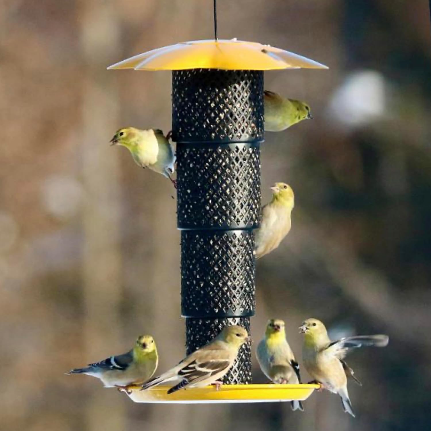 Collapsible Tube Bird Feeder - Outside Hanging Bird Feeder Diamond Mesh for Finches and Chickadees - Holds 1 Pound of Sunflower Seeds, Peanuts, or Sunflower Kernels