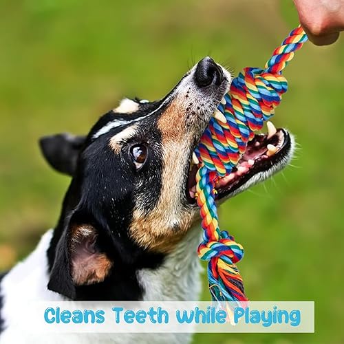 Miniatura 3 de Depets Juguete de cuerda para perro, 4 unidades surtidas de juguetes masticables para cachorros, juguete duradero con nudo de cuerda, juguetes de