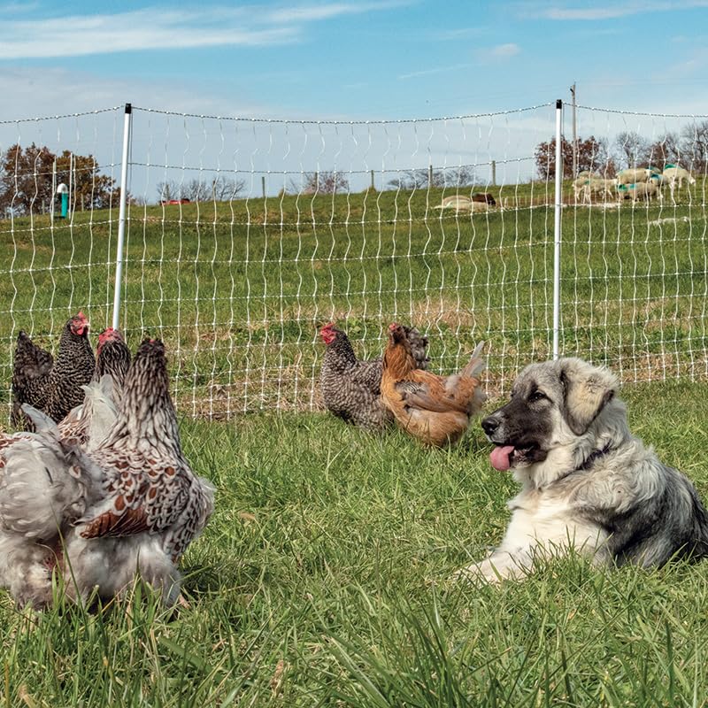 Miniatura 4 de Premier 1 PoultryNet Plus, valla eléctrica portátil de 42 pulgadas de alto x 100 pies de largo con postes de línea adicionales para reducir el