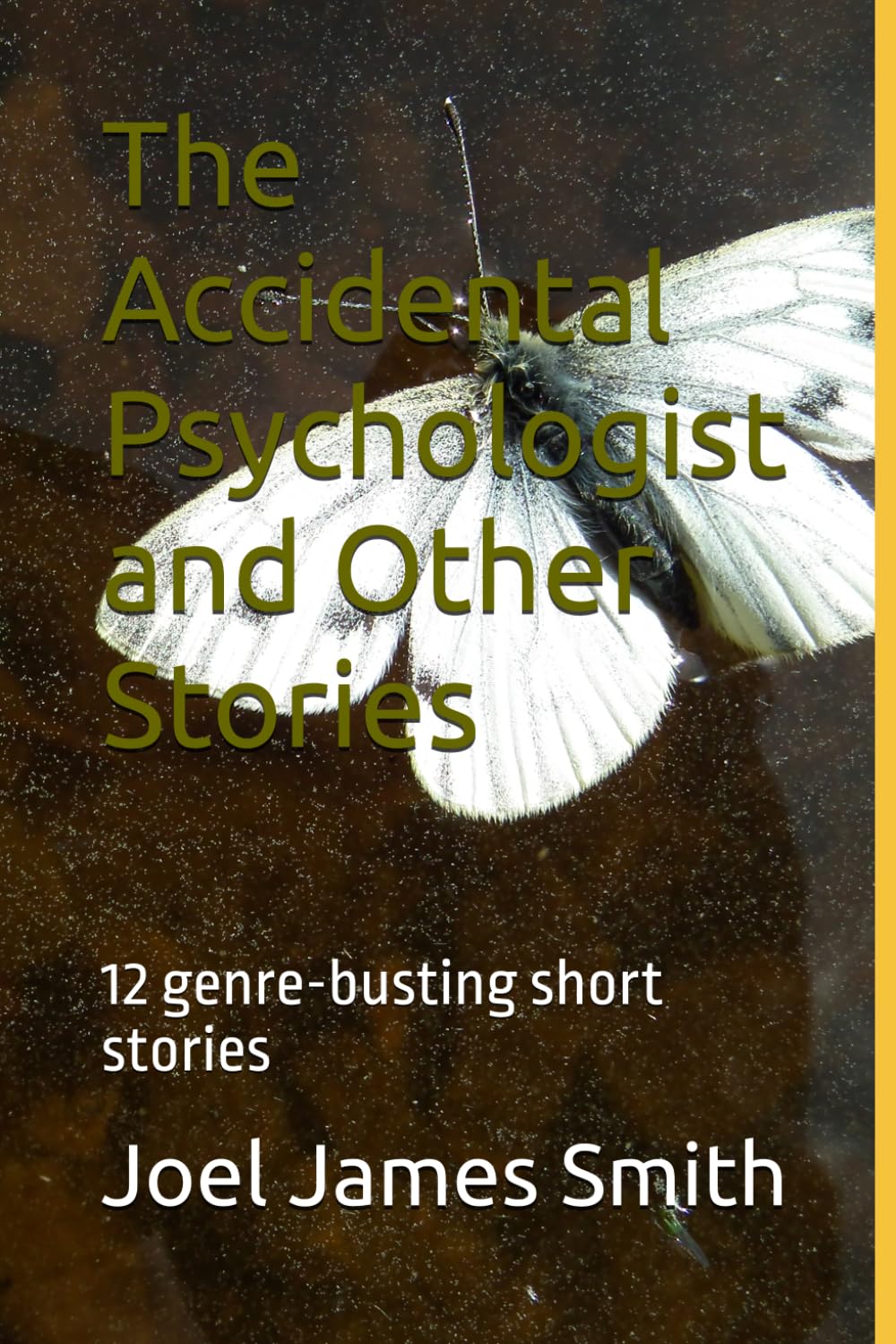 The Accidental Psychologist and Other Stories: 12 genre-busting short stories