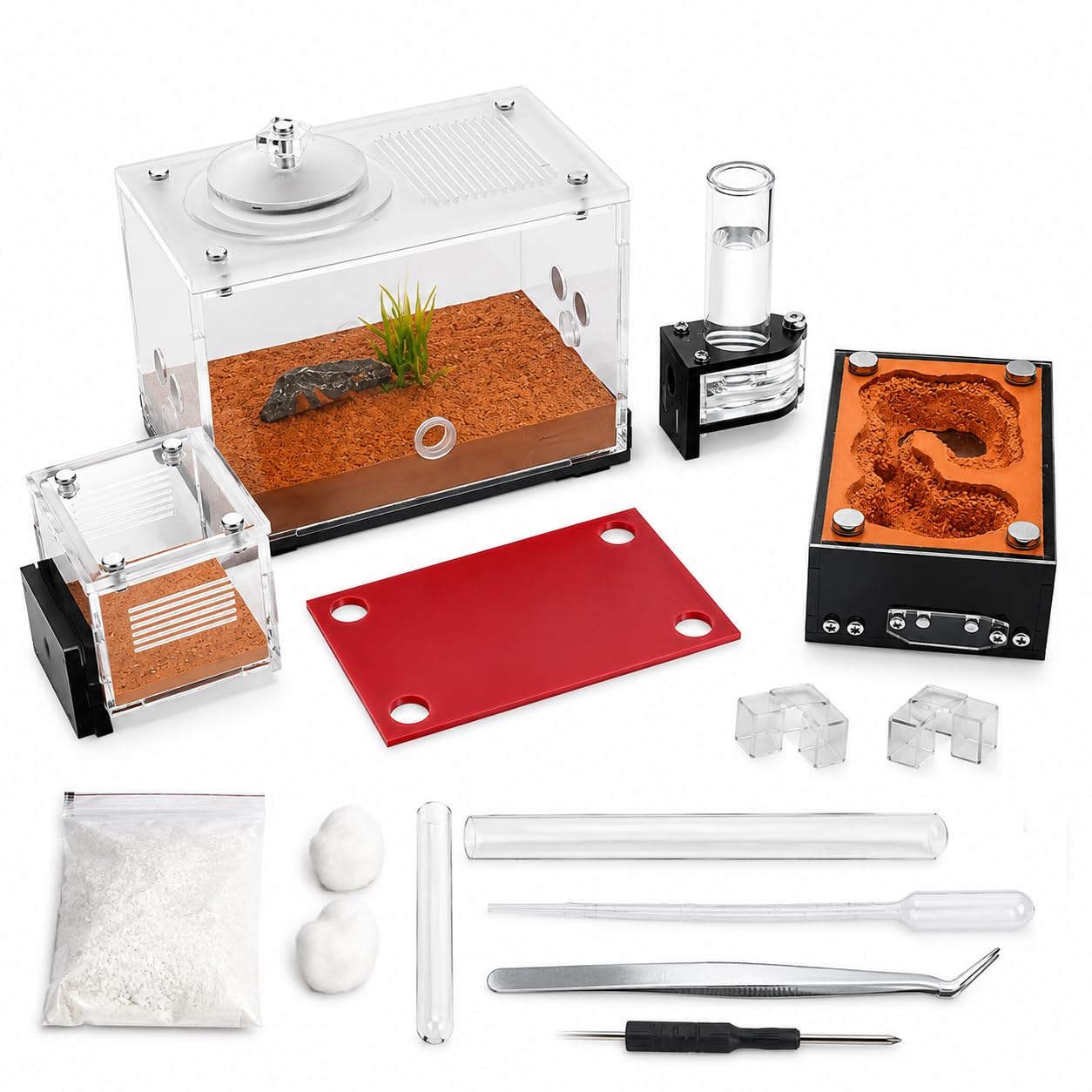 Modular Ant Farm Starter Kit – Acrylic Ant Nest & Outworld with Magnetic Feeding Area, Water Feeder & Dark Nest Cover
