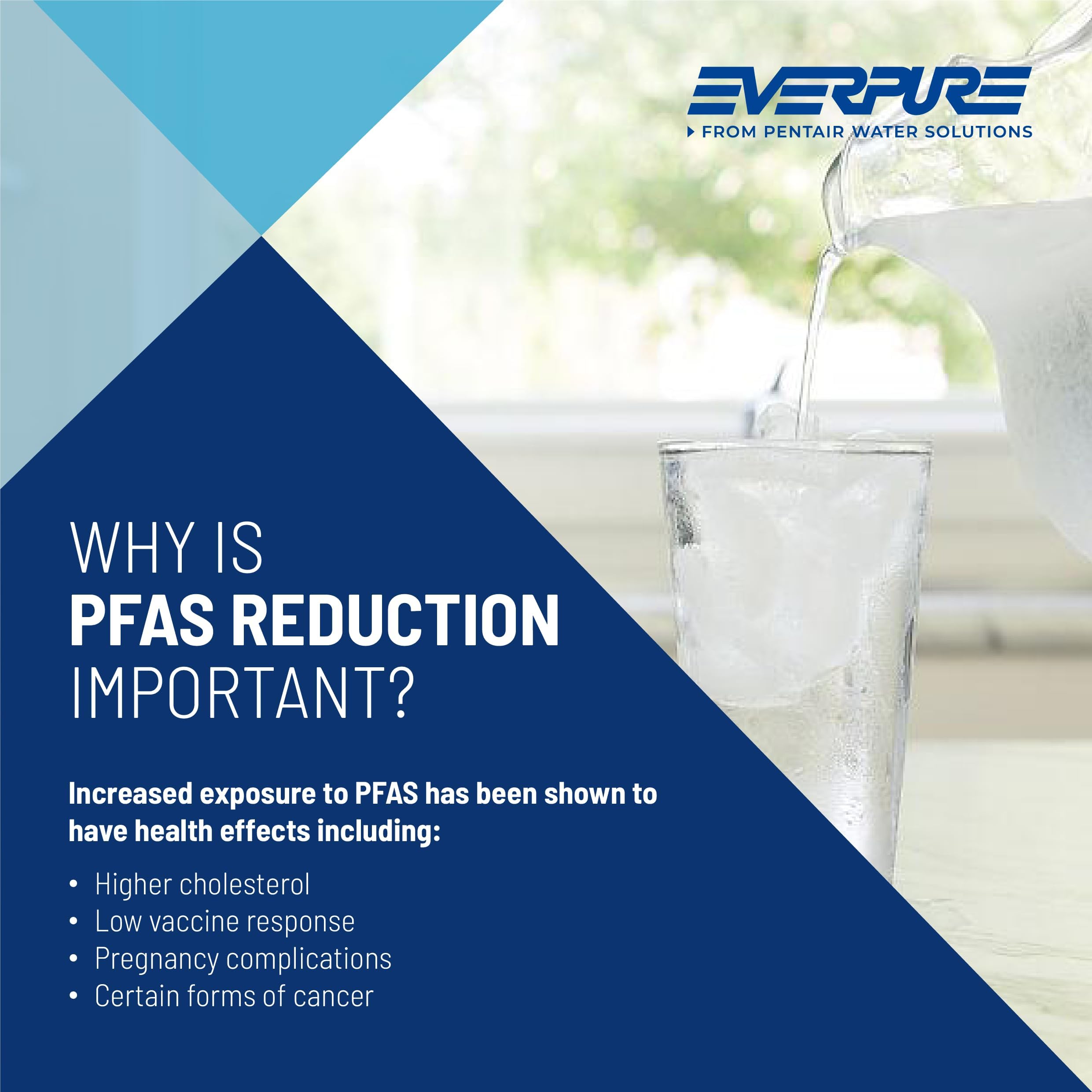 Amazon.com: Everpure 2FC-P | Aquverse A100 | Pentair S-54