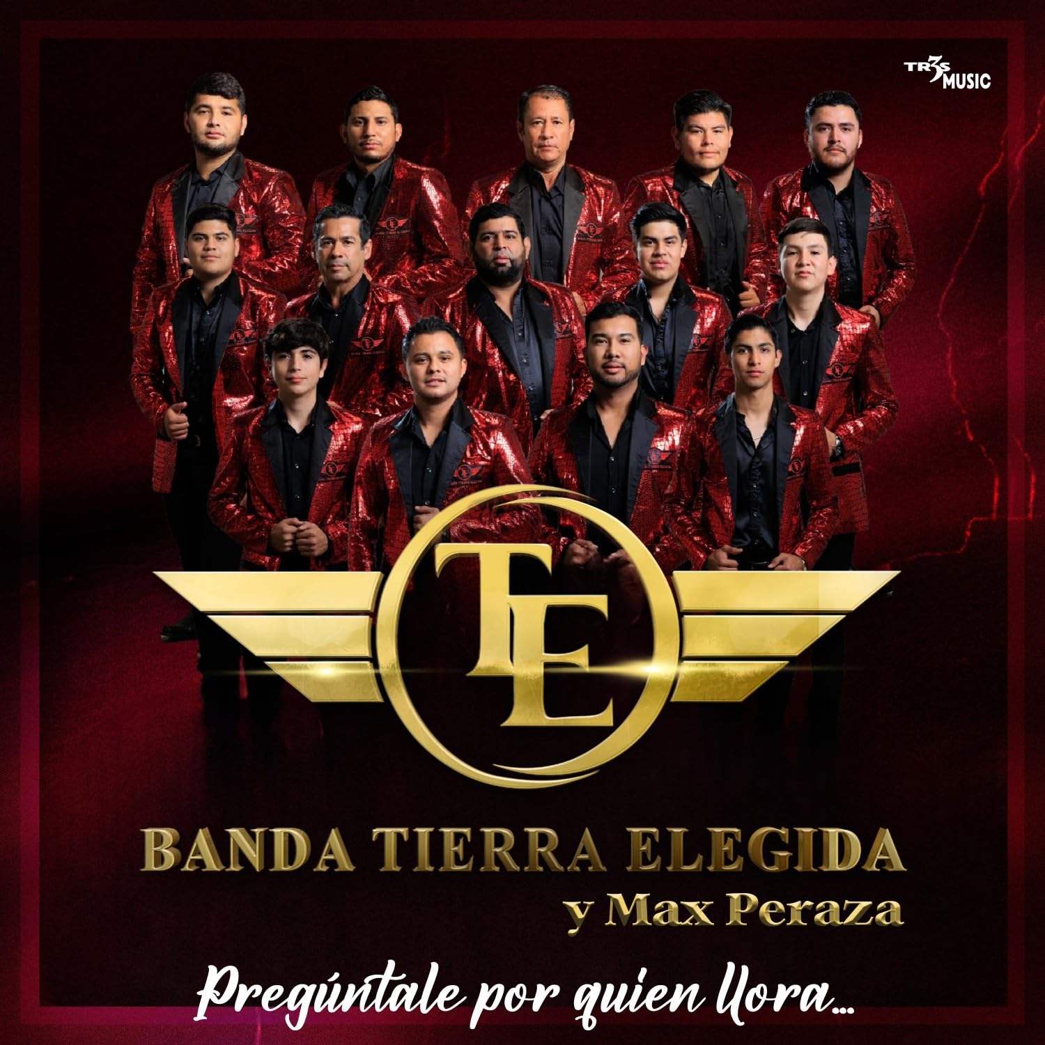 Banda Tierra Elegida