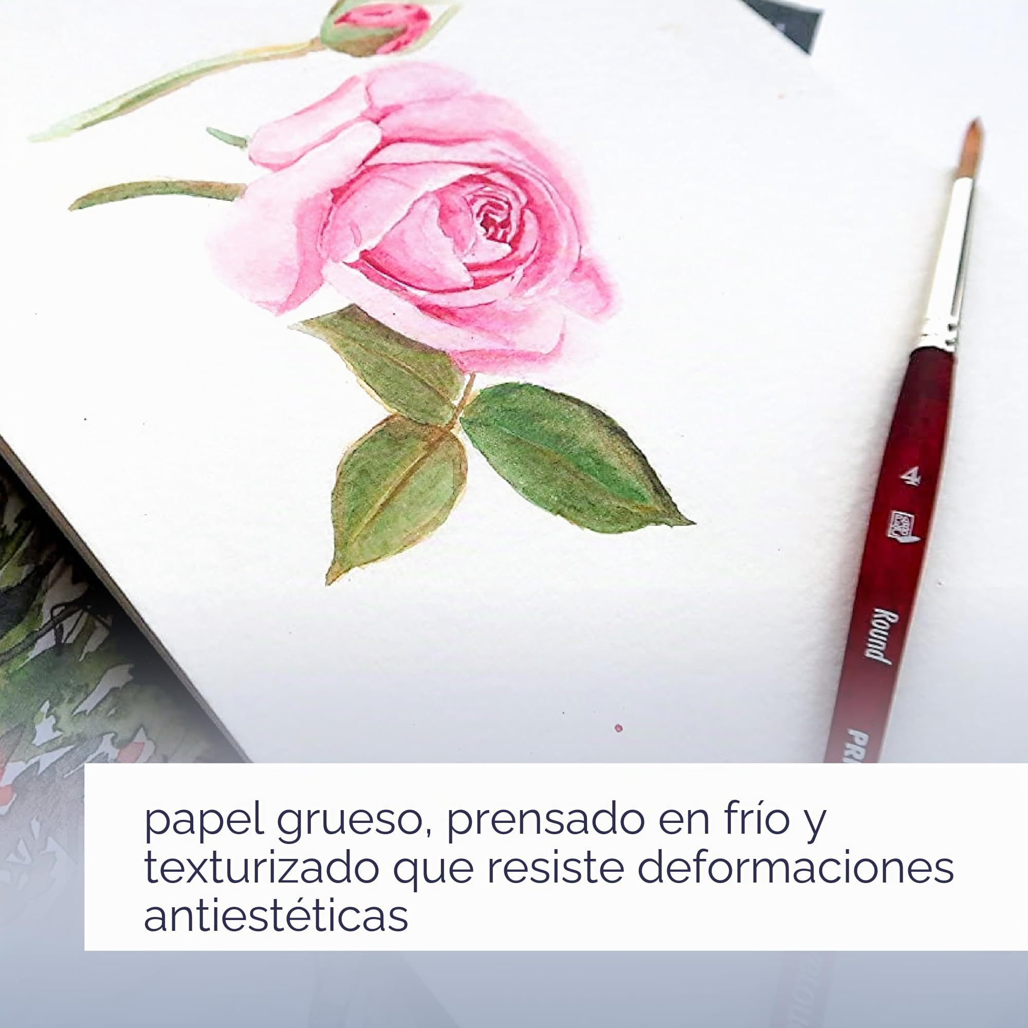Canson Professional Book, Papel Acuarela, Grano Fino, 300g, Cuaderno Espiral, A5-14,8x21 cm, 24 hojas, Blanco