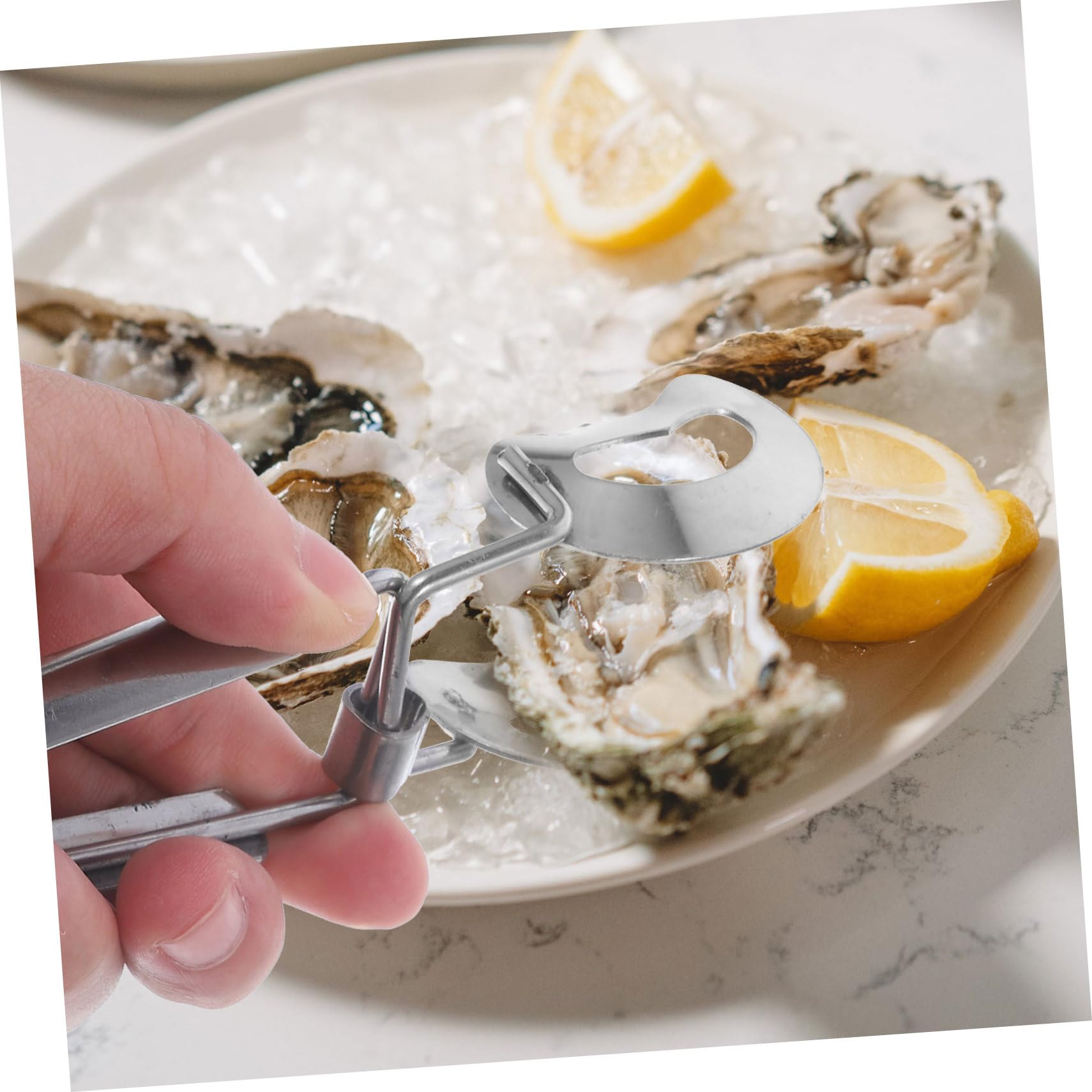 COLLBATH Set Piatti per Ostriche in Acciaio Inossidabile, Vassoio Multifunzione per Frutti di Mare Clip e Forchetta, Piatto da Portata Comodo per Ristorazione e Uso Domestico