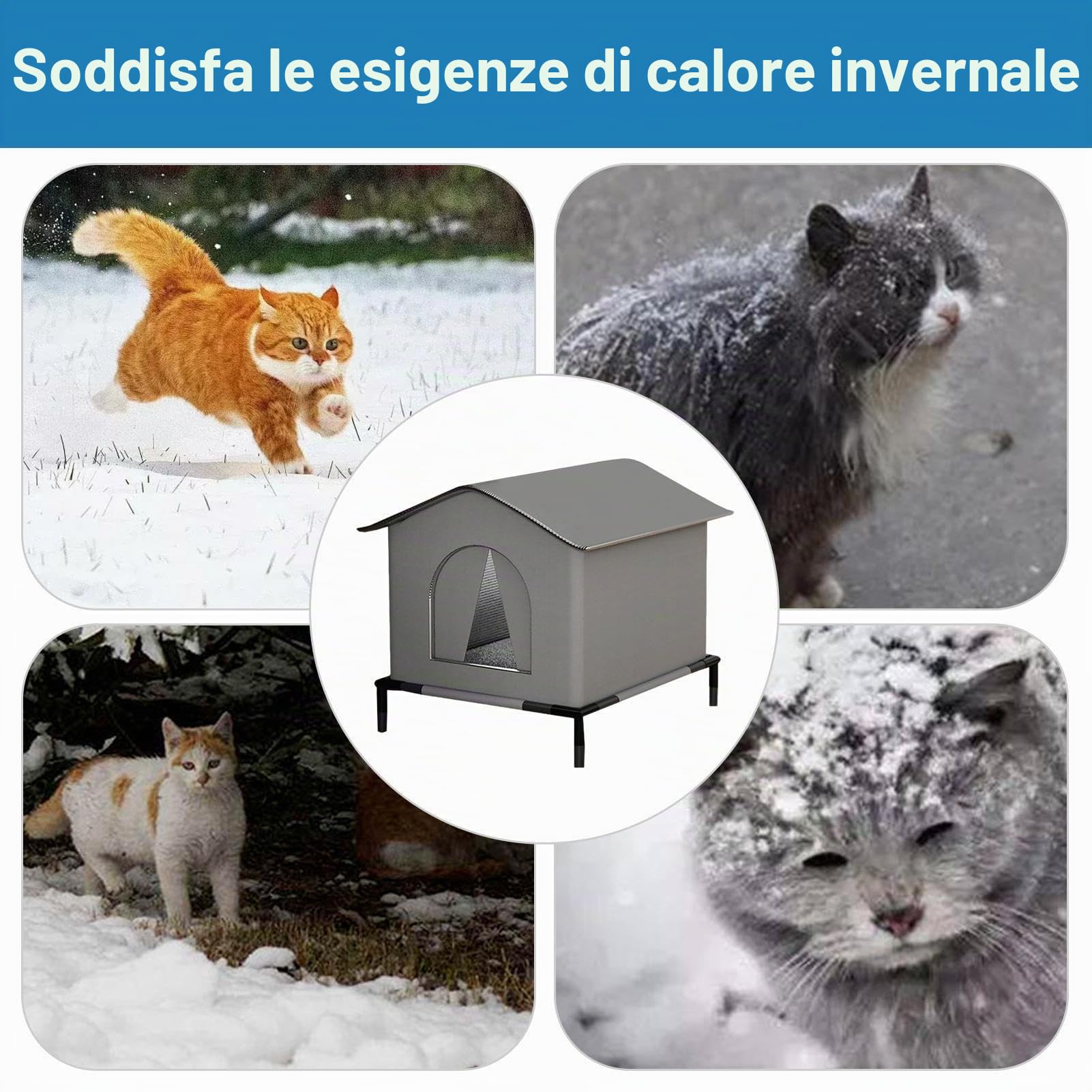 Cuccia Per Gatti Per Esterni, Casa Per Gatti Impermeabile Con Pavimento Rialzato E Base Rifugio Per Gatto Da Esterno Casetta Per Gatto Da Esterno Tana Isolata Termicamente Per Giardino Patio Prato