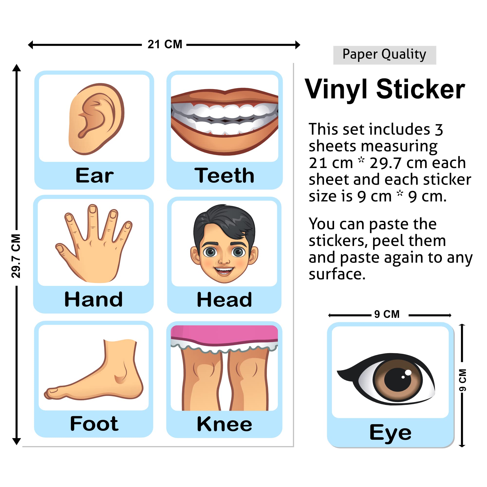 Kids Body Parts Wall Stickers - Learn & Decorate! -5 Kids Body Parts Wall Stickers - Learn & Decorate! -5