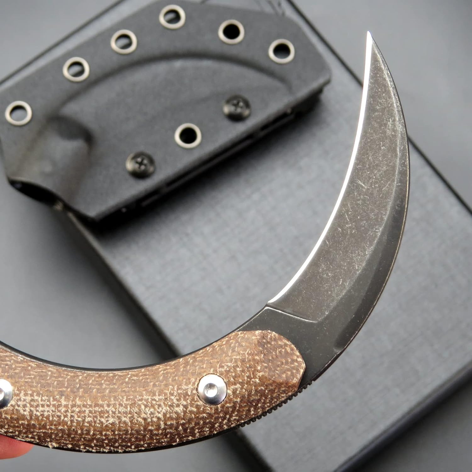 C16901 Fixed Blade Knives D2 Steel Micarta Handle Outdoor Survival Claw Knife,Camping EDC Tools, Kydex Sheaths(Brown)