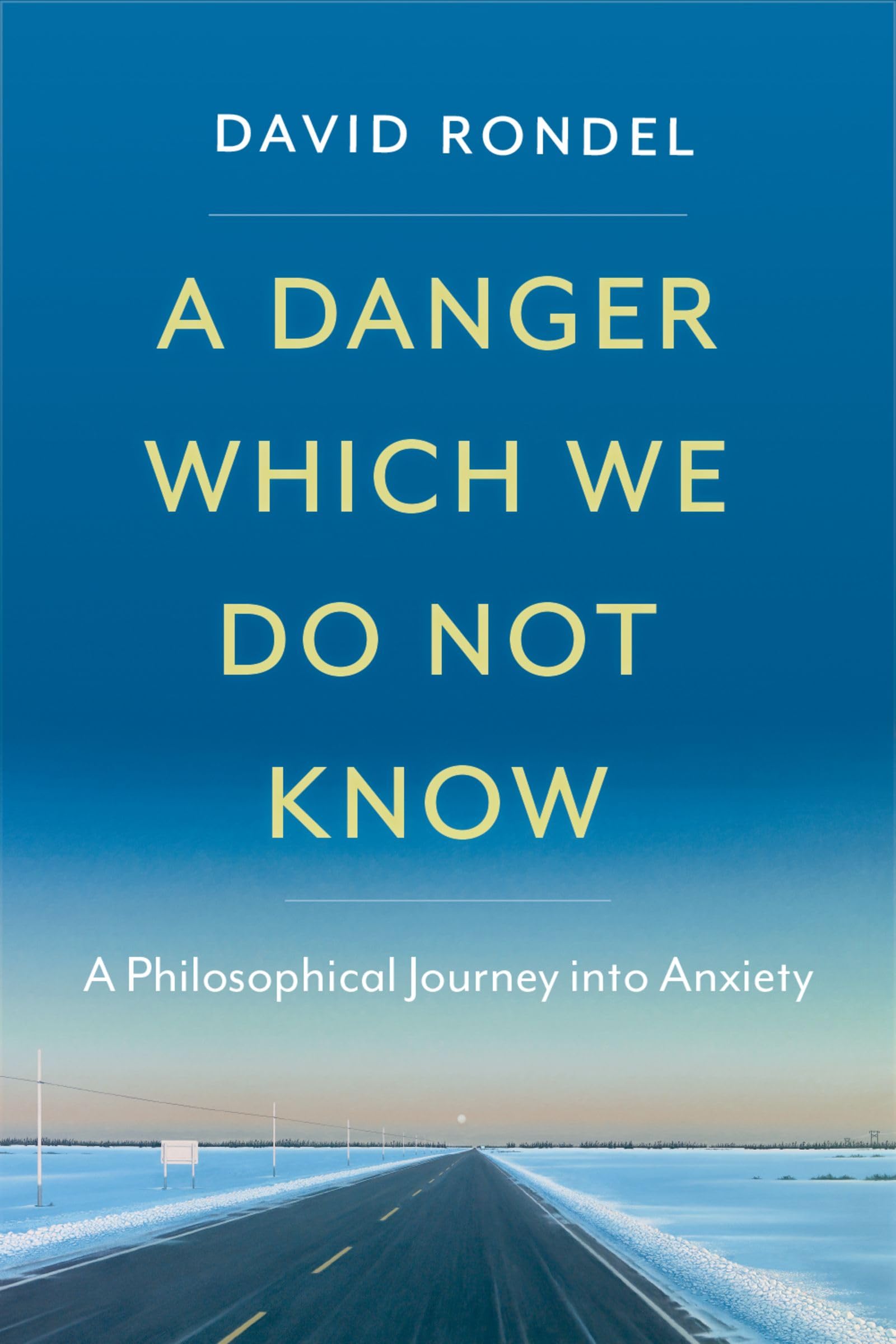 A Danger Which We Do Not Know: A Philosophical Journey into Anxiety