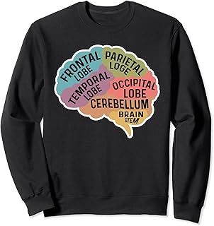 解剖学的脳科学者 トレーナー