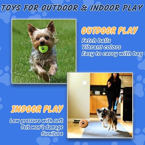 Miniatura 2 de Pelotas de tenis a granel para perros, paquete de 12 pelotas de caza fáciles de atrapar (no chirriantes, multicolor)