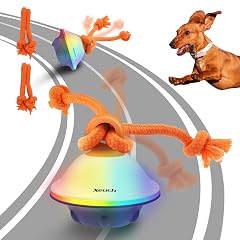 Interactive Dog Toys Automatic Moving and Rolling LED Light Up Dogs Ball with Rope Motion-Activated Wicked Ball for