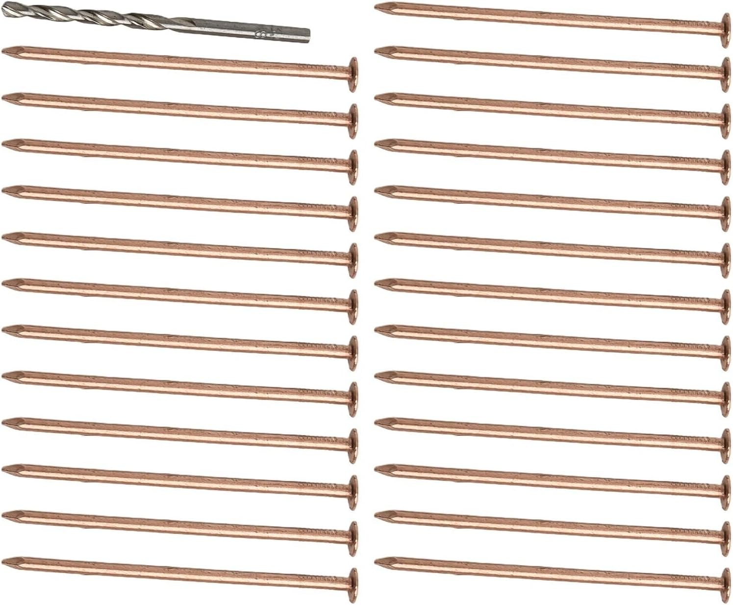 Chiodi in rame da 10,2 cm con punta da trapano, set di punte per la rimozione delle radici del ceppo, chiodi in rame per la rimozione di ceppi e radici (25 pezzi)