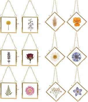 BABUFINE 12 PCS Mini Pressed Flower Frames with Tweezers,Only Frame