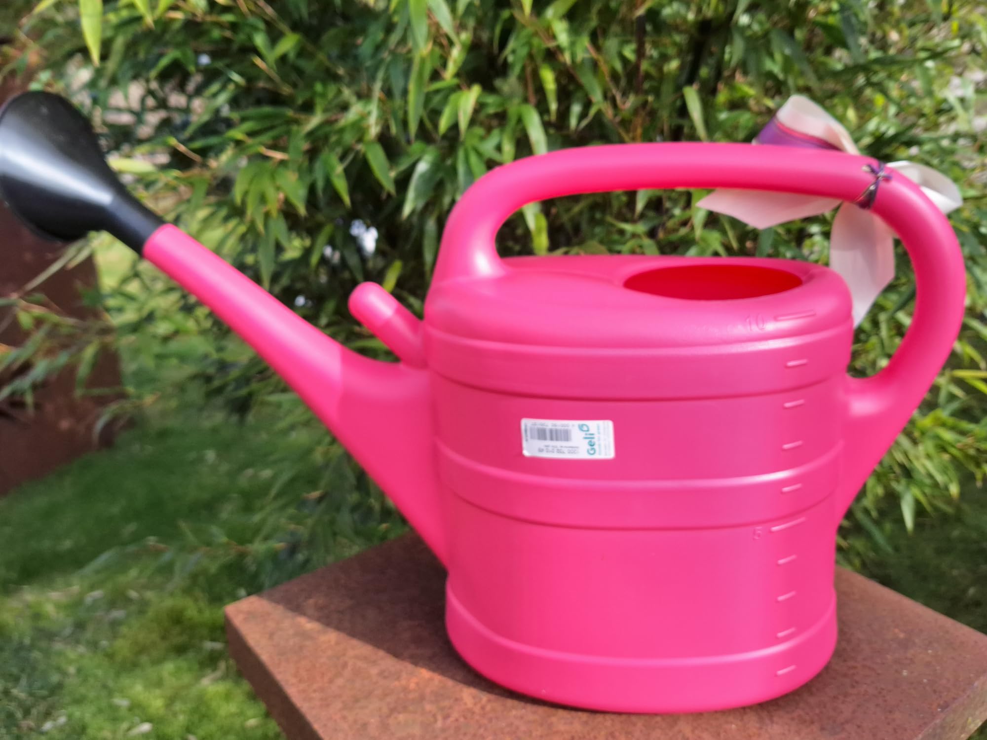 Gießkanne 10 L Rentnerin Rente PINK Abschiedsgeschenk, Geschenkgießkanne zum Renteneintritt in den Ruhestand