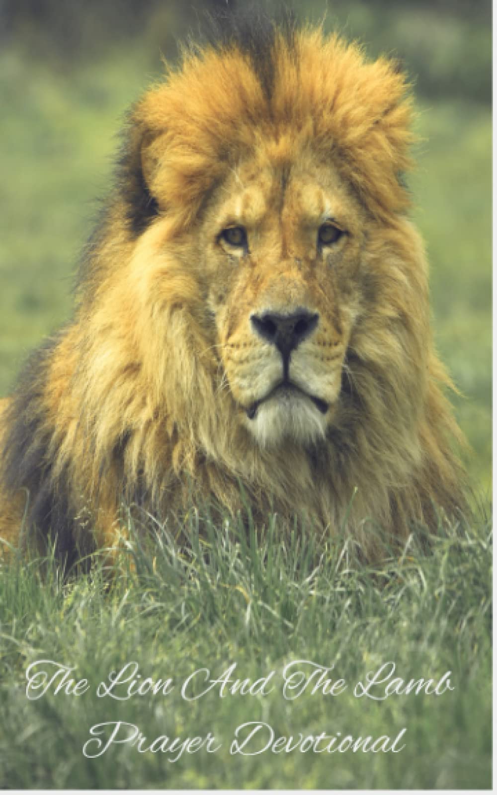 The Lion And Lamb: Daily Devotional