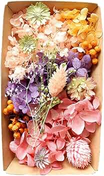 71UgcswZdbL._AC_UF350,