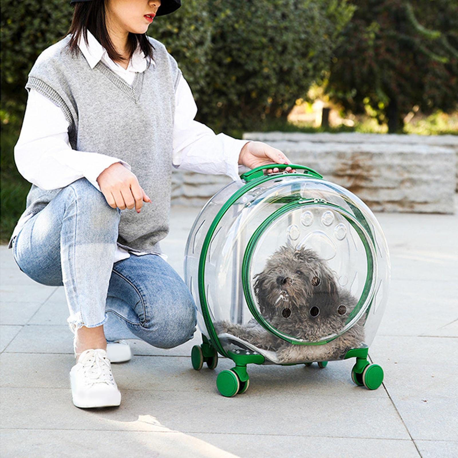 Trolley portatile per animali domestici per cani e gatti Borsa da viaggio traspirante con ruote silenziose Trasportino per trasportini per animali domestici per campeggio, escursionismo, attività al