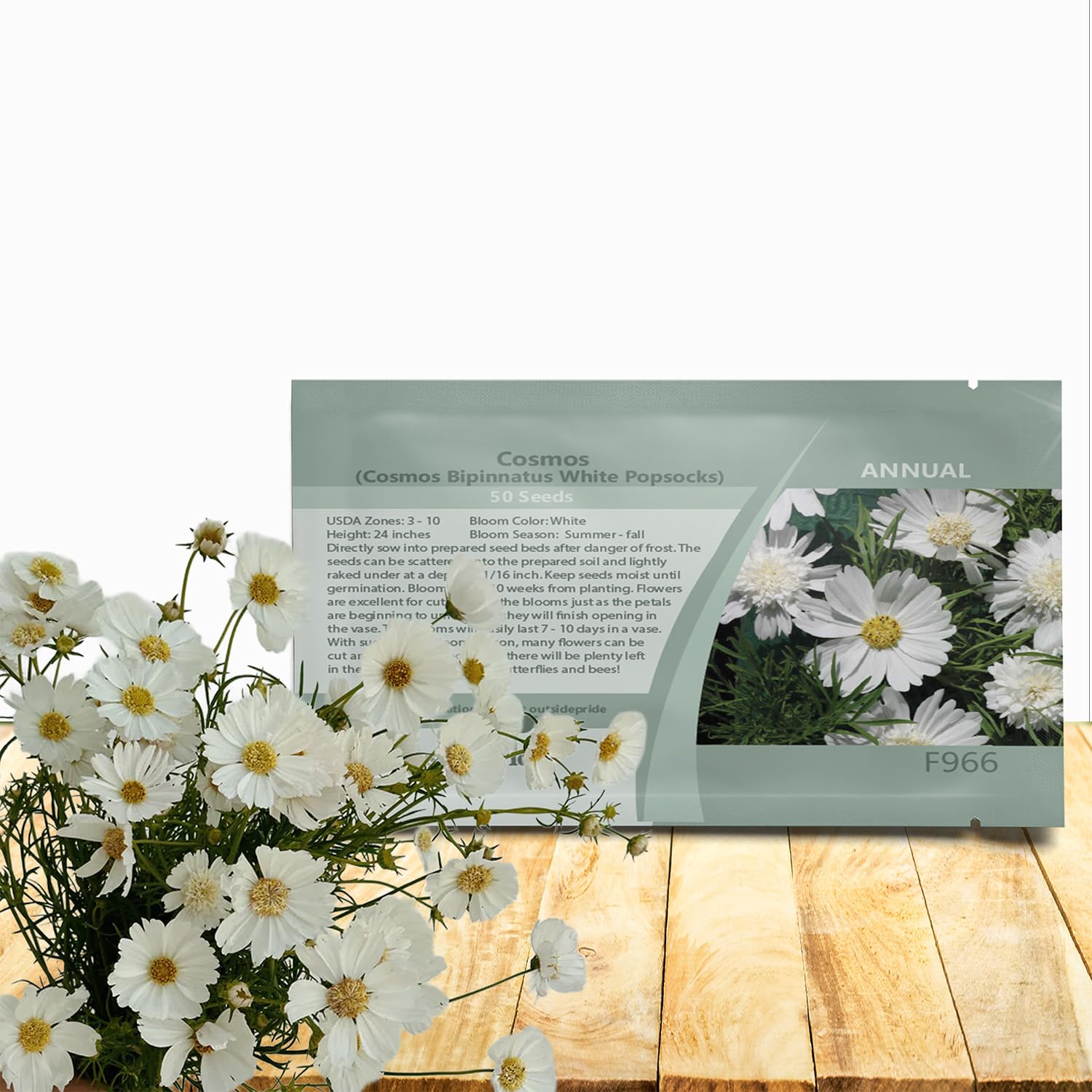 Outsidepride White Popsocks Cosmos Bipinnatus Seeds - 50 Pcs Annual, Easy to Grow & Drought Tolerant, Flower Seeds for Planting w/Vibrant Double Blooms, Ideal for Cut Flower & Wildflower Meadows