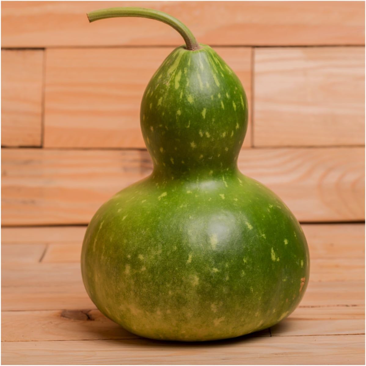 Seed Needs 100+ Gourd Seeds for Planting 'Birdhouse Bottle' | Lagenaria Siceraria Easy to Grow Non GMO Gourd Seeds | Produces Vining White Flowers, Carve into Bottles or Birdhouses | Bulk