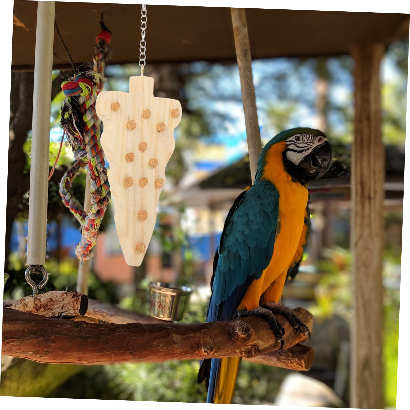 Kisangel 5 Pièces Jouet à mâcher Oiseau Jouet Oiseau en Bois Suspendu s en Bois pour Perroquet Suspendu à la Recherche de Nourriture s à mâcher pour Perroquet
